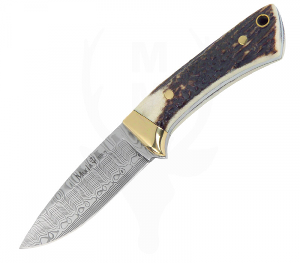 Muela Colibri Damascus Outdoor Knife