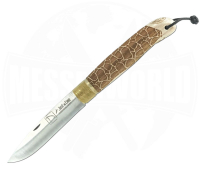 Giraffe Focus Beech