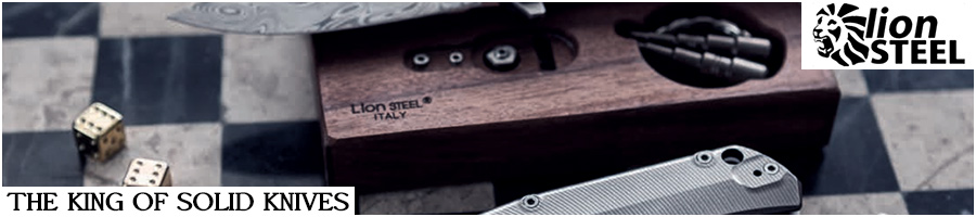 Lionsteel_Banner