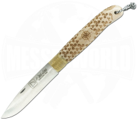 Bretagne Focus Buche
