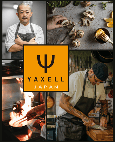 Yaxell Küchenmesser kaufen - Blue Breeze Serie